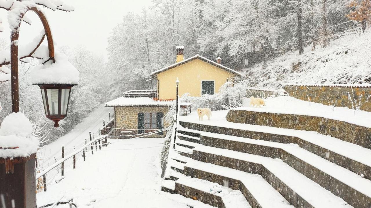 Villa La Casa Del Sarto - Federicofarm Pontremoli Zimmer foto